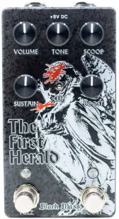 Black Mass Electronics The First Herald
