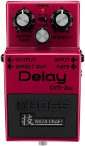 Boss Dm 2w Delay