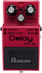 Boss Dm 2w Delay