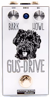 Summer School Electronics Gus Drive