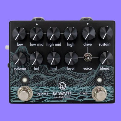 Badwater Bass Pre-amp and D.I. | WALRUS AUDIO